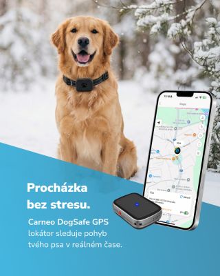 Procházka má být o klidu, ne o nervozitě. 🐕❄️ S Carneo DogSafe víš přesně, kde se tvůj parťák nachází. Poloha v reálném...