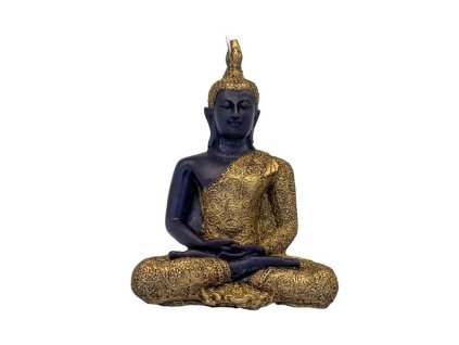 buddha v lotosovem sedu b389 zepredu