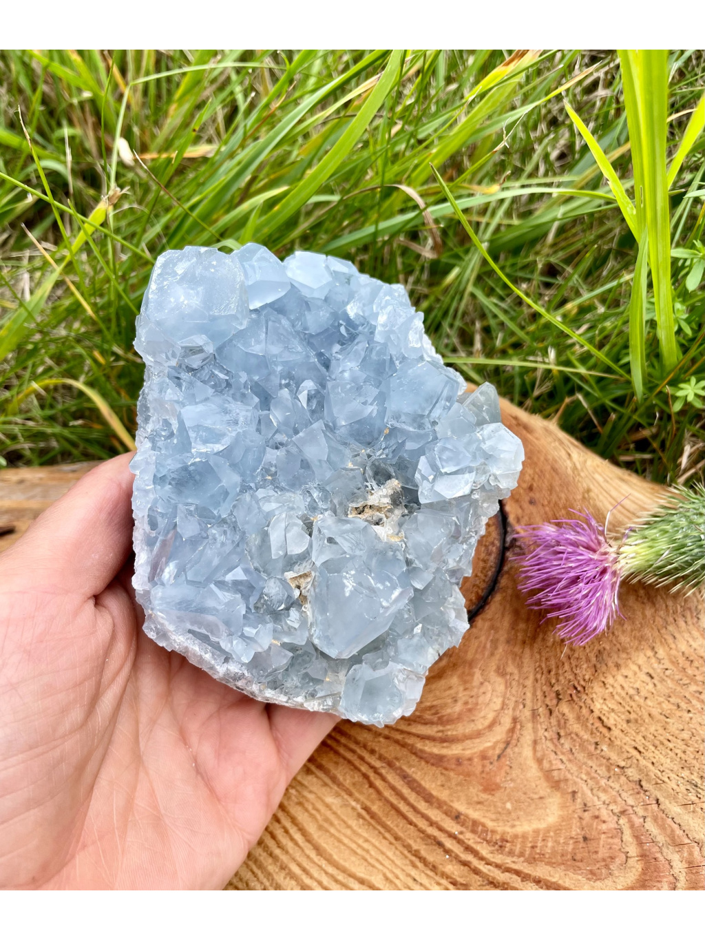 celestin Celestýnová drúza 1