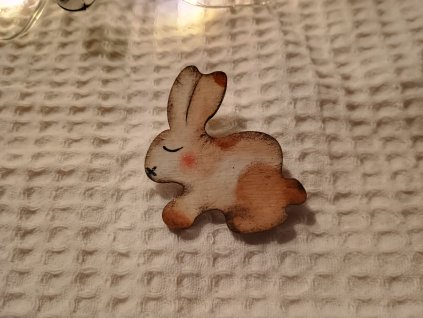 Brošňa zajačik