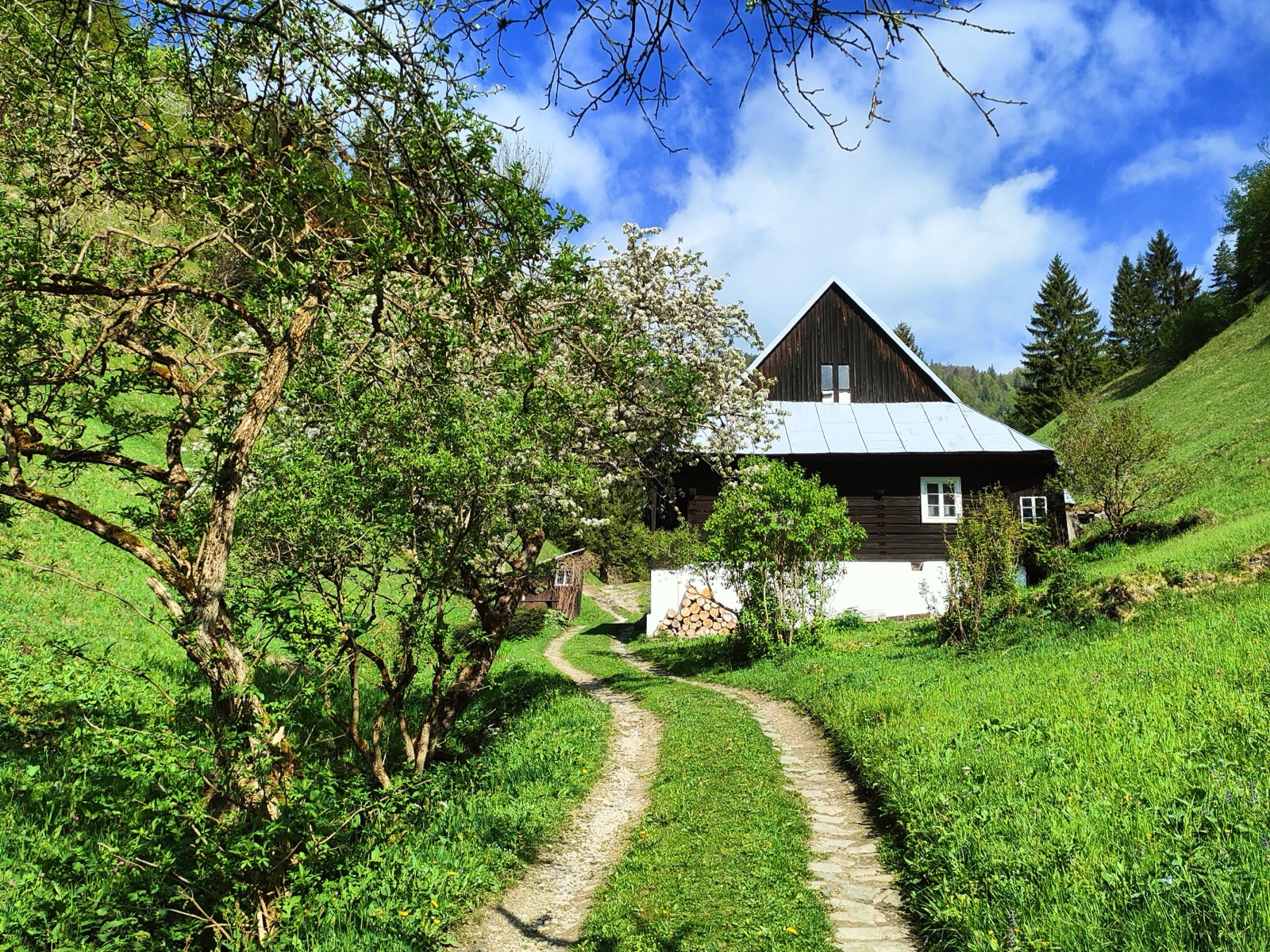 Tip na výlet –  Cez Prašnicu k sedlu Veľký Šturec (1. časť)