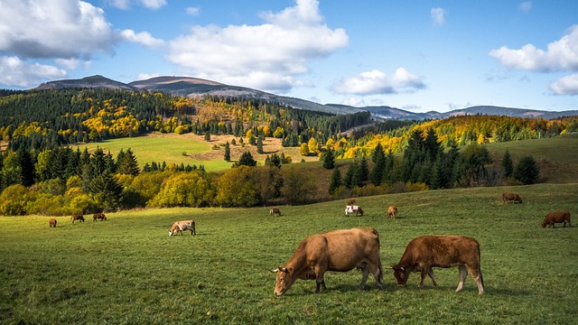 Skryté poklady Slovenska - Horehronie