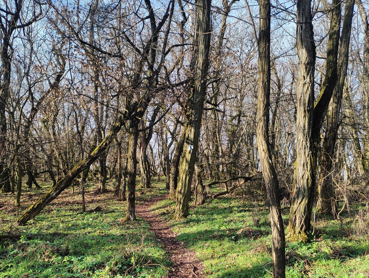 Tip na výlet –  Náučný chodník Plešovica