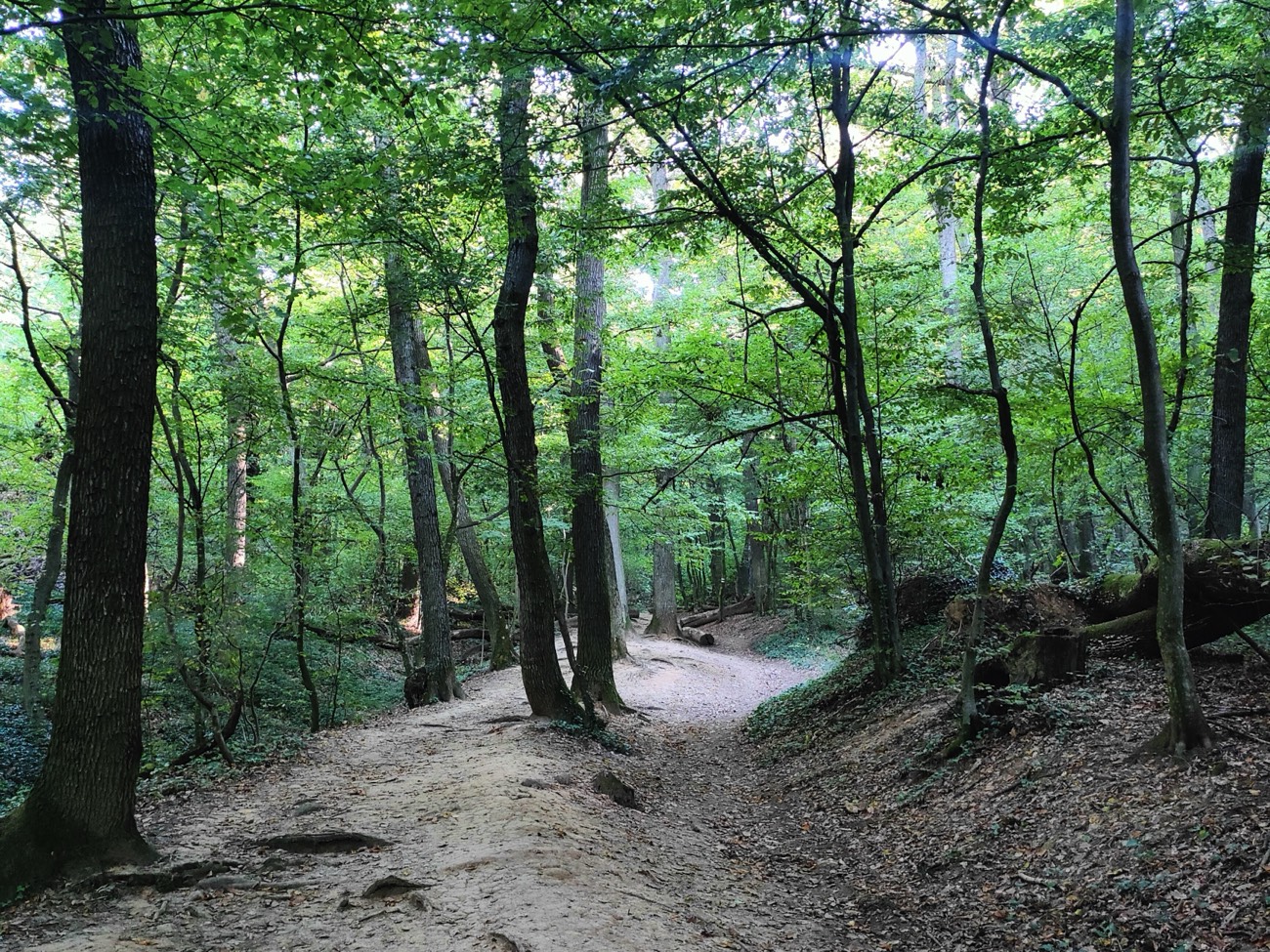 Tip na výlet –  Potulky po Zobore (1. časť)
