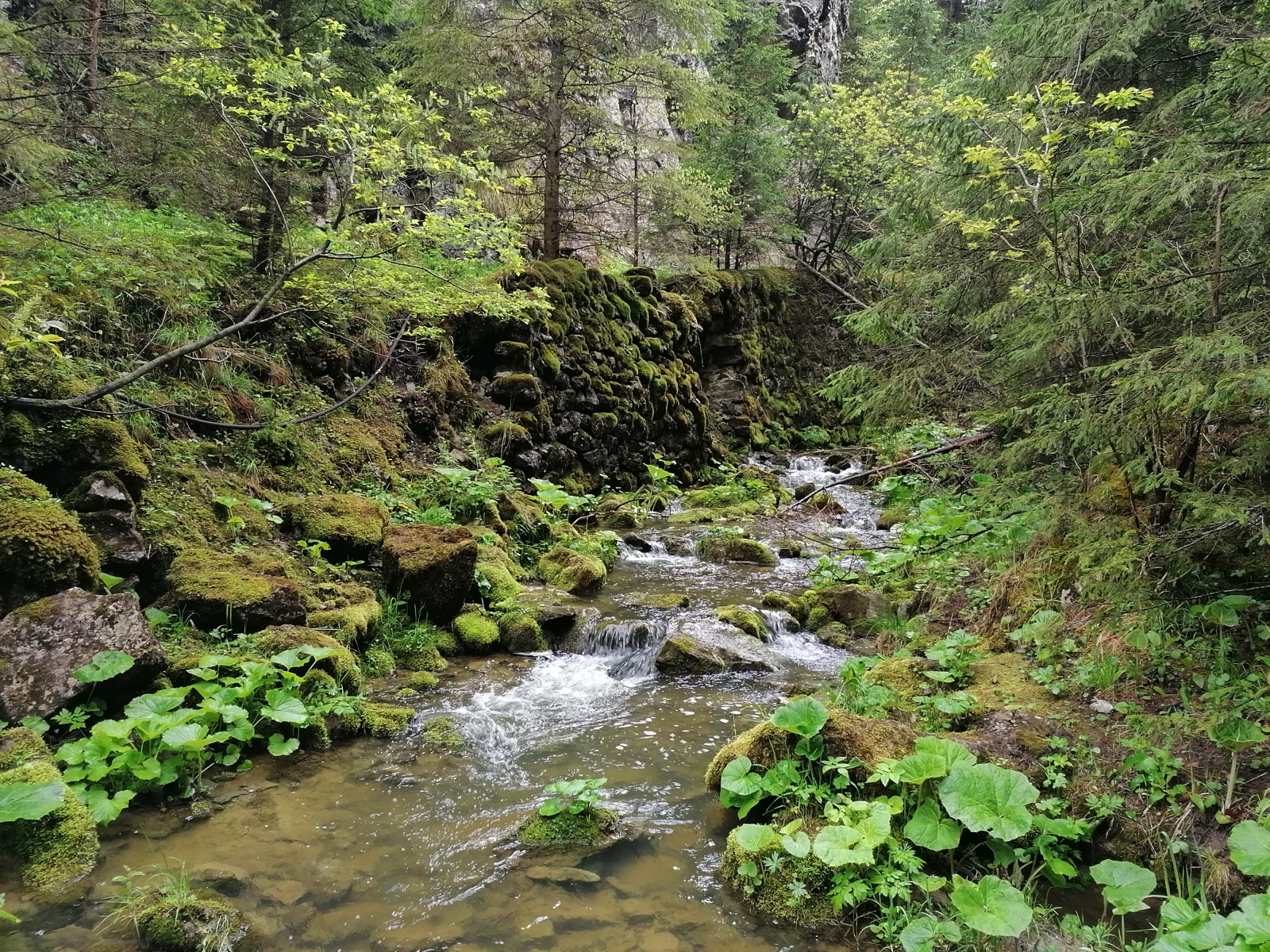 Tip na výlet – Za najkrajšími horskými vodopádmi... (2. časť)