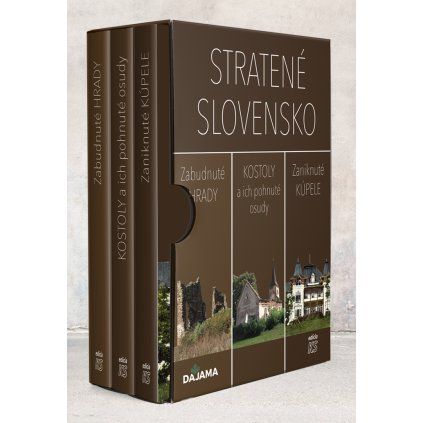 2994 2 stratene slovensko obalka 1