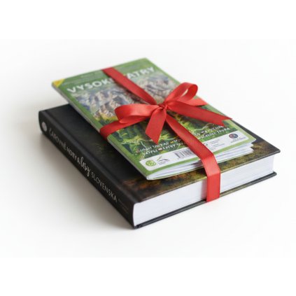 Generated Image November 17, 2025 1 41PM