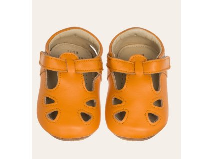 Lait et Miel-Archie Camel