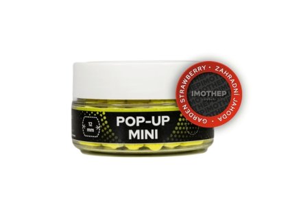 Pop-up mini - zahradní jahoda 12mm,50g