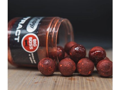 Snímek obrazovky 2025 10 09 101629