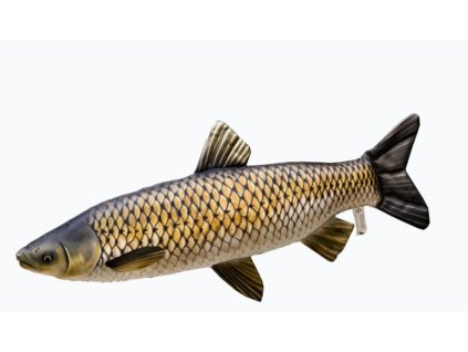 Snímek obrazovky 2025 11 24 143407