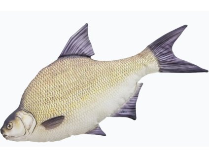 Snímek obrazovky 2025 11 24 152231