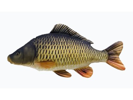 Snímek obrazovky 2025 11 24 153713