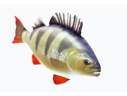 Snímek obrazovky 2025 11 24 160510