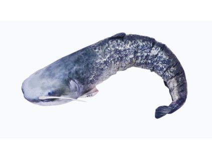 Snímek obrazovky 2025 11 24 162646