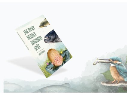 Snímek obrazovky 2025 11 24 164703