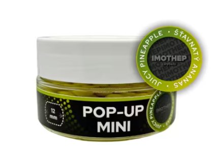 Snímek obrazovky 2026 02 06 154252