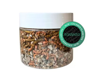 Snímek obrazovky 2026 02 07 091732