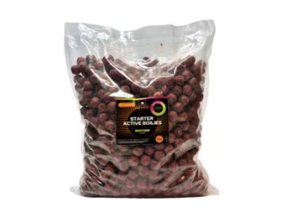 Snímek obrazovky 2026 02 07 112709