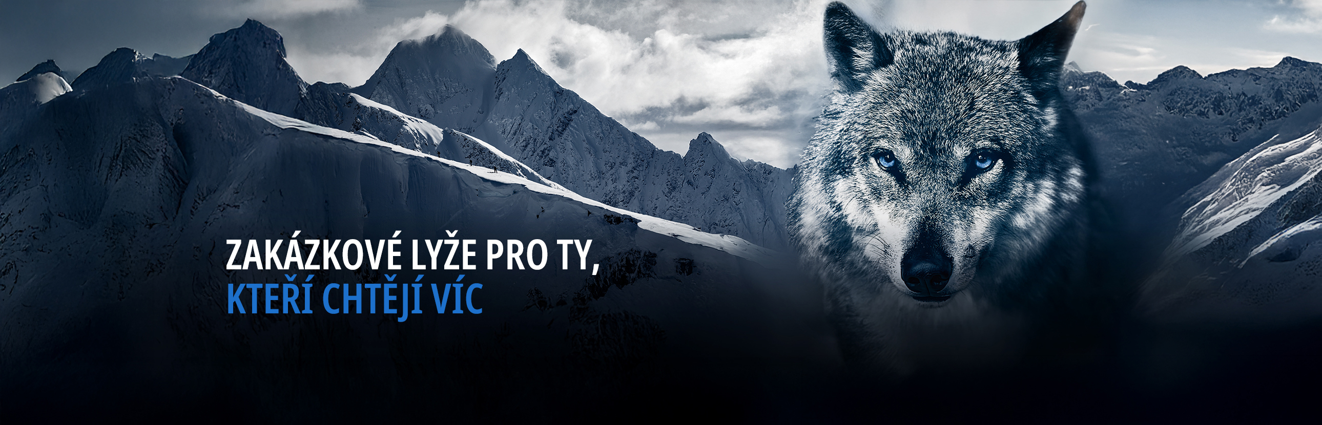 hory, lyže, vlk
