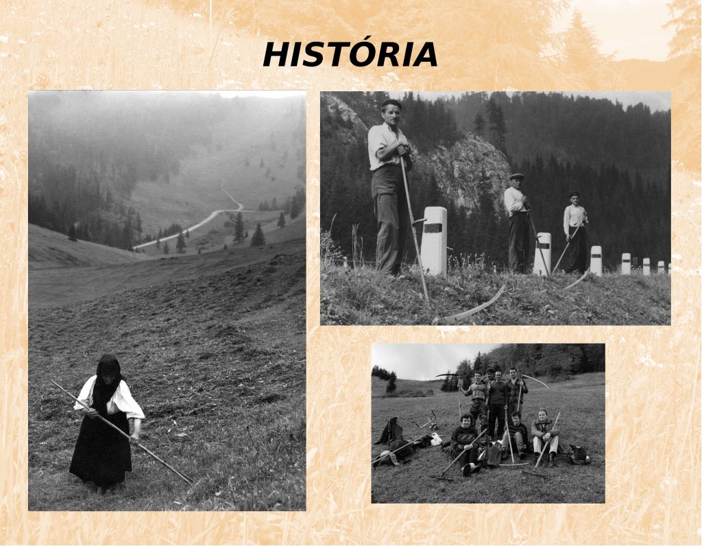 historia2-1024x796