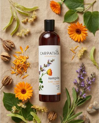 🌿 Priateľstvo, ktoré rastie spolu s nami Tak ako vlasy potrebujú výživu, aj priateľstvo potrebuje starostlivosť. A keď sa...