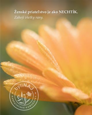 A ktoré priateľstvo zahojí rany tebe? Označ kamošku, alebo sa rovno zapoj do našej súťaže o ByliNAJ priateľstvá...
