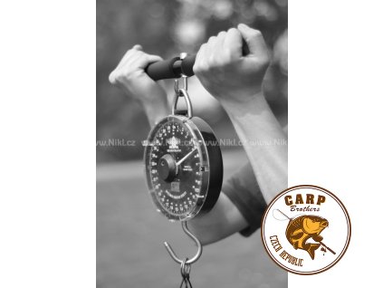 11861 2302 ct86c weigh bar 1 original