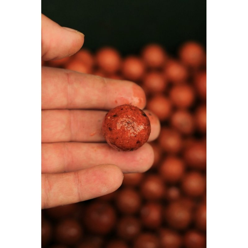 Boilies Carp Only: Příchuť Frenetic ALT Chilli Mango pro Úspěšný Lov Kaprů