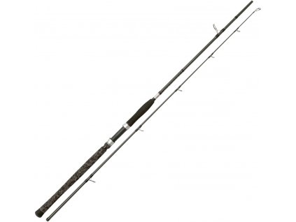 Sumcový prút Penn Legion Cat Silver Spin 2,70 m 40 - 160 g 2 diely