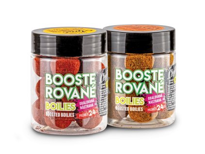 CHYTIL Boosterované boilies 24 mm (Příchuť 2S - Scopex Squid)