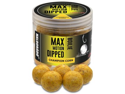 haldorado boilies dipped max motion 80g 20mm champion corn