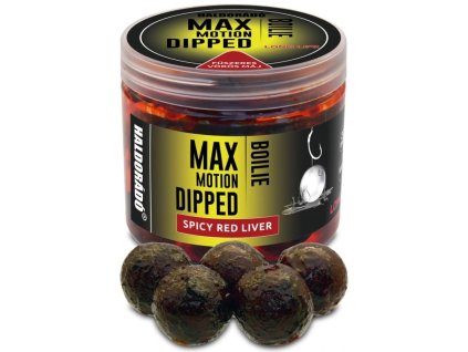 haldorado boilies dipped max motion 80g 20mm pikantni cervena jatra