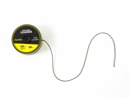Pindown Unleaded Leader 50lb