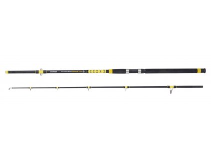 MIVARDI Fanatic Catfish 2,4 m 200 - 400 g