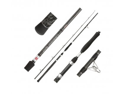 Sumcový prút Penn Legion Cat Silver Power Allround 2,40 m 200 - 400 g 2 diely