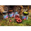 CHYTIL Rozpustné boilies 20 mm (Příchuť 2S - Scopex Squid)