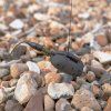 AVID CARP Shock Lead (Gramáž 56 g)