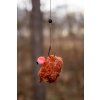 CHYTIL Pop Up Mini Boilies 10 mm 15g (Příchuť Ananas)