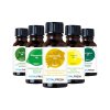 Totalcool Esenciální olej Essential Oils Pack 5ks