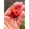 CHYTIL Barillo pelety 20mm 120g (Příchuť Ananas)