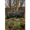 AVID CARP Revolve Pillow (Velikost Standart)
