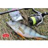 Braided Line Intech First Braid X8 Green 150m (Průměr #0.6 (12lb/5.45kg))