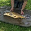 10376 1 avid carp podlozka revolve folding flat mat 1