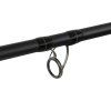 Delphin DUNAY Carp