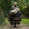 AVID CARP Arctic Series Sherpa Fleece (Velikost Medium)