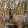 AVID CARP Technical Fleece (Velikost Small)