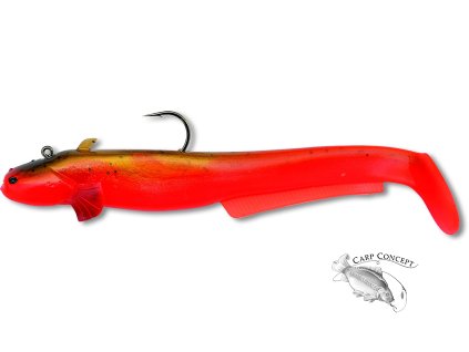 baby cat shad rainbow