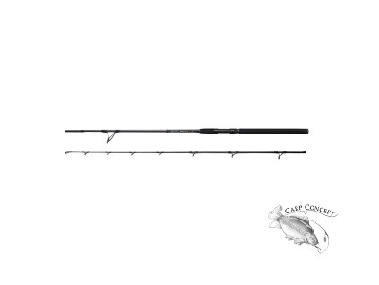 DAM SALT-X SHAD & PILK ROD prut 240cm 150-300gr