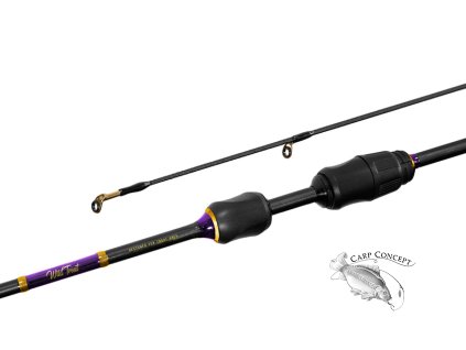 Delphin prut Wild Trout 1,8m 0,5-6g 2díly
